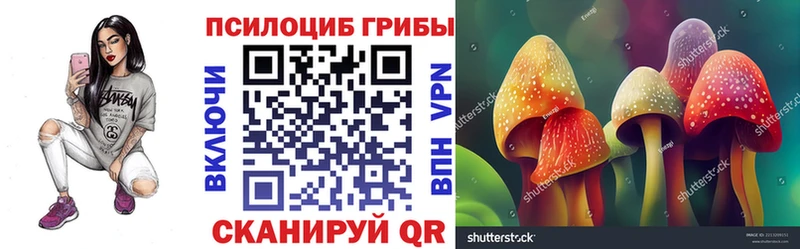 гидра ТОР  Иннополис  Галлюциногенные грибы GOLDEN TEACHER 